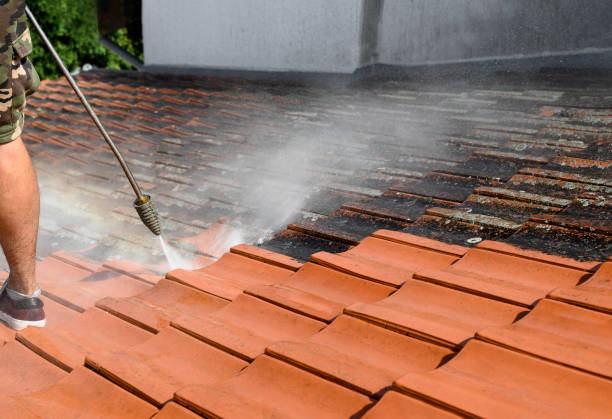 Best Sidewalk Pressure Washing  in Lavon, TX